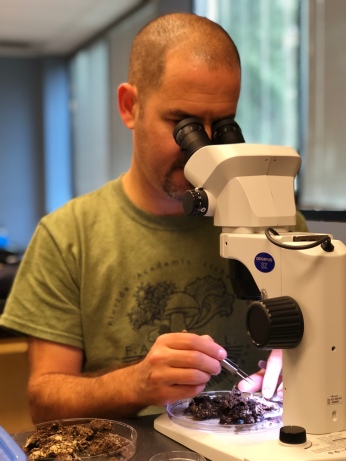 Dr. Matthew Smith (University of Florida) checks insect associated zygomycetour fungi for microscopic structure